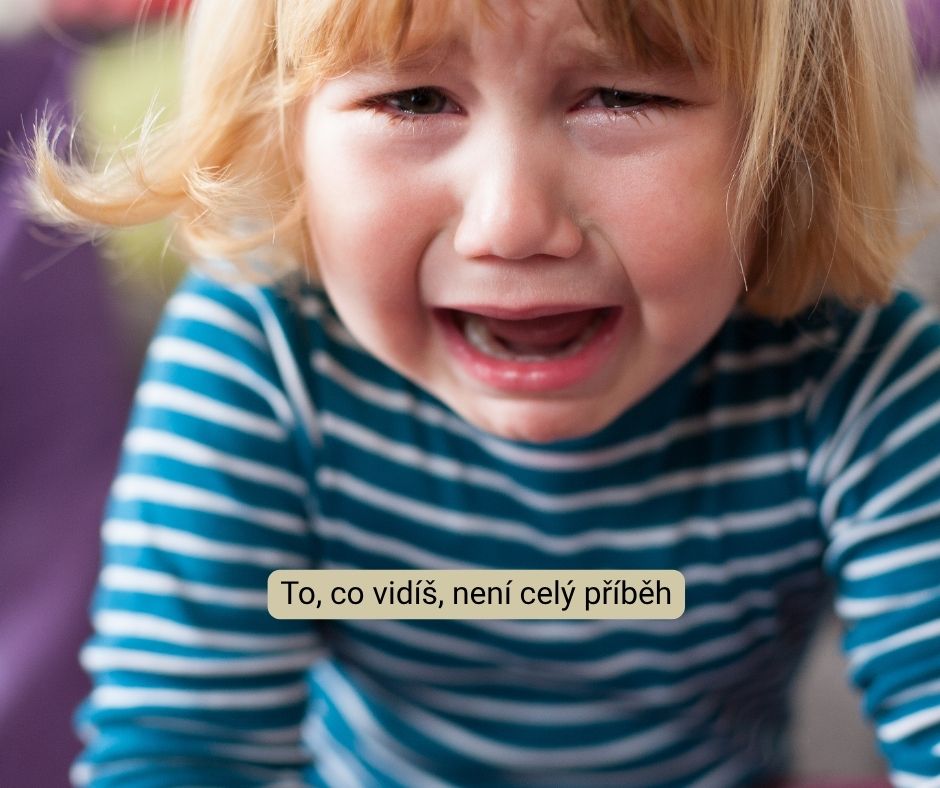 náročné chování, článek